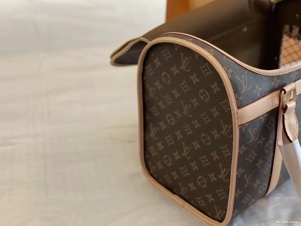 CUSTOM BAG LV PET 0605